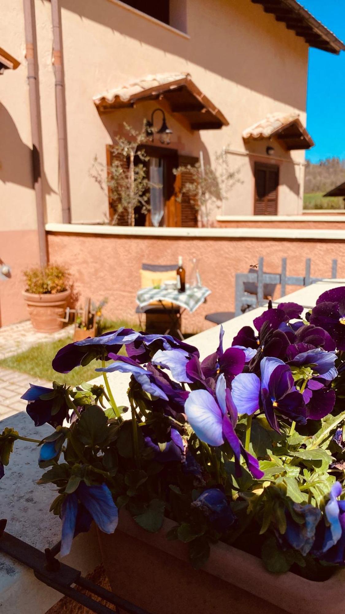 Selvicolle Country House Crispiero Exterior photo